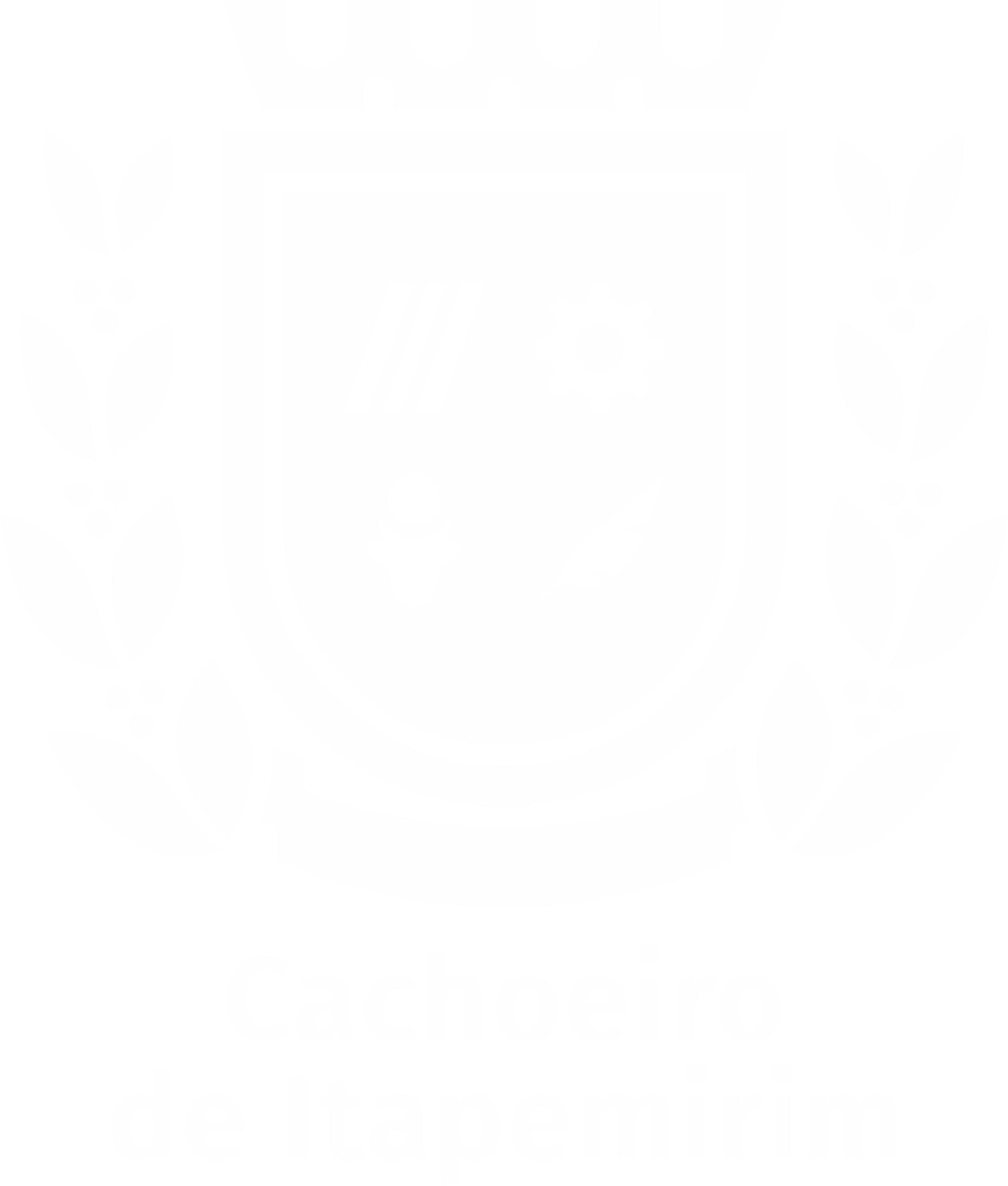 Cachoeiro de Itapemirim